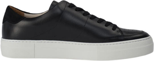 Art Signature Canvas Sneaker