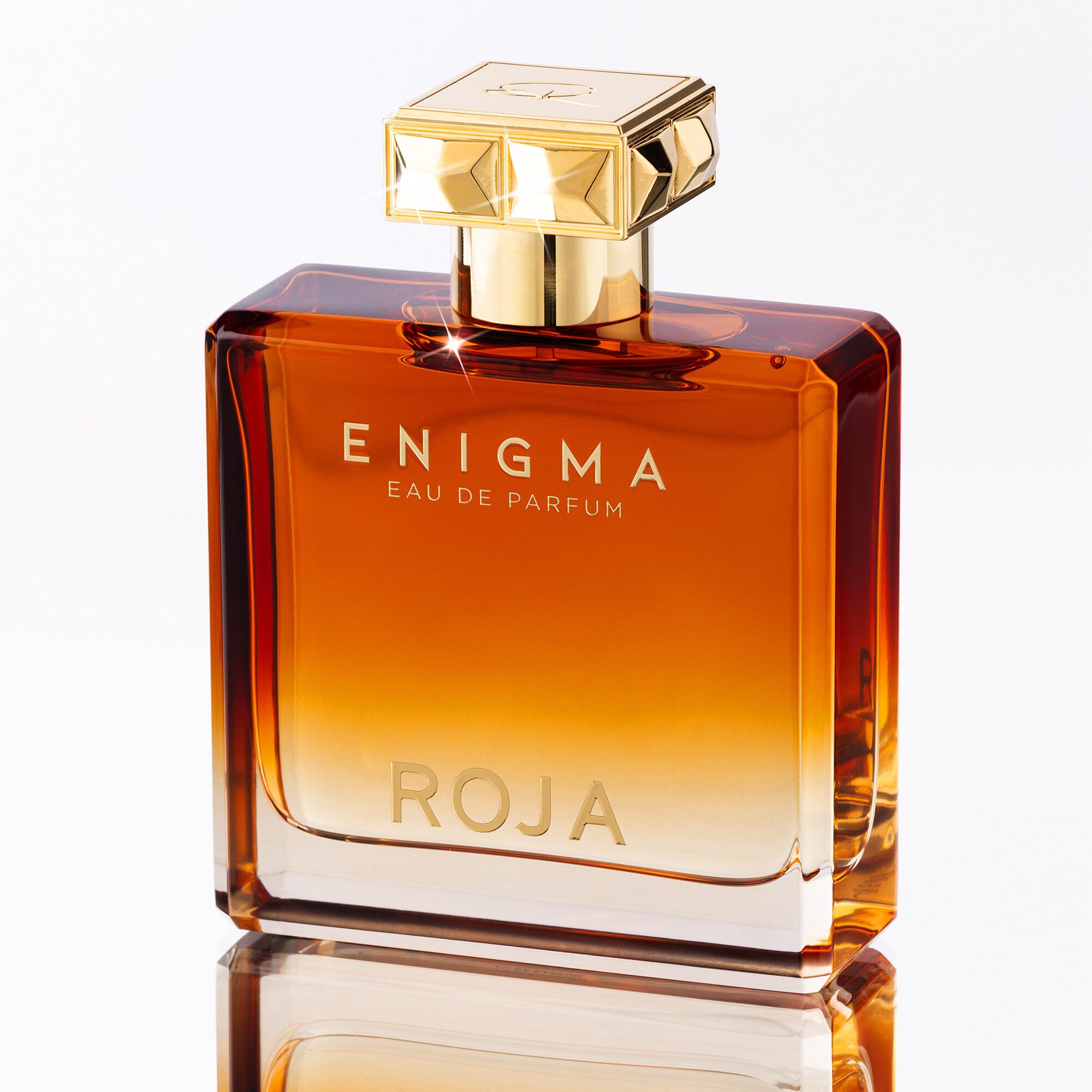 ROJA ENIGMA POUR HOMME EDP 100 ML