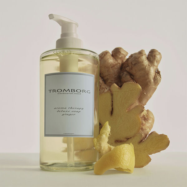 Aroma Therapy Deluxe Soap Ginger 20th Anniversary