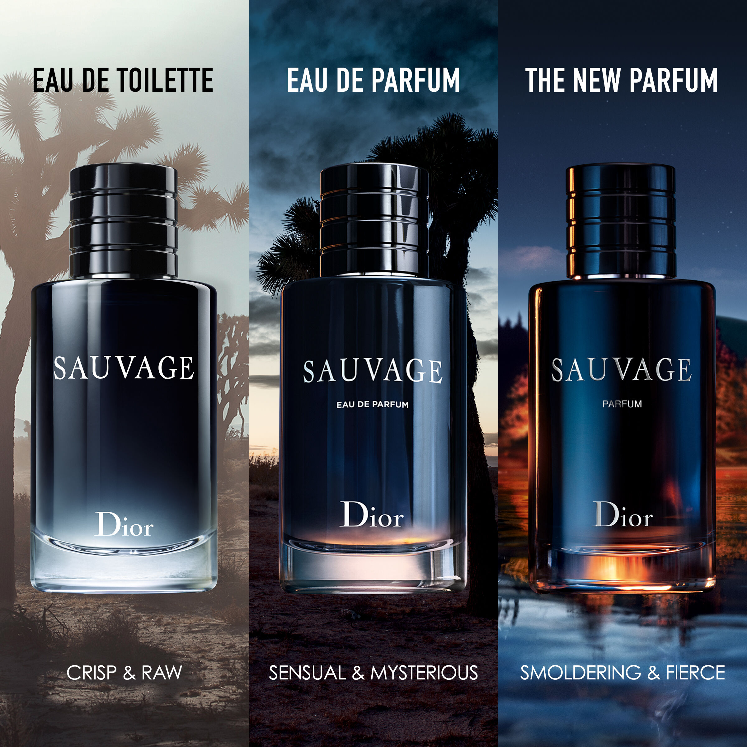 Sauvage Eau de toilette