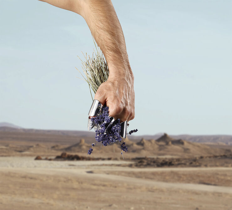 K By Dolce & Gabbana Eau de Toilette