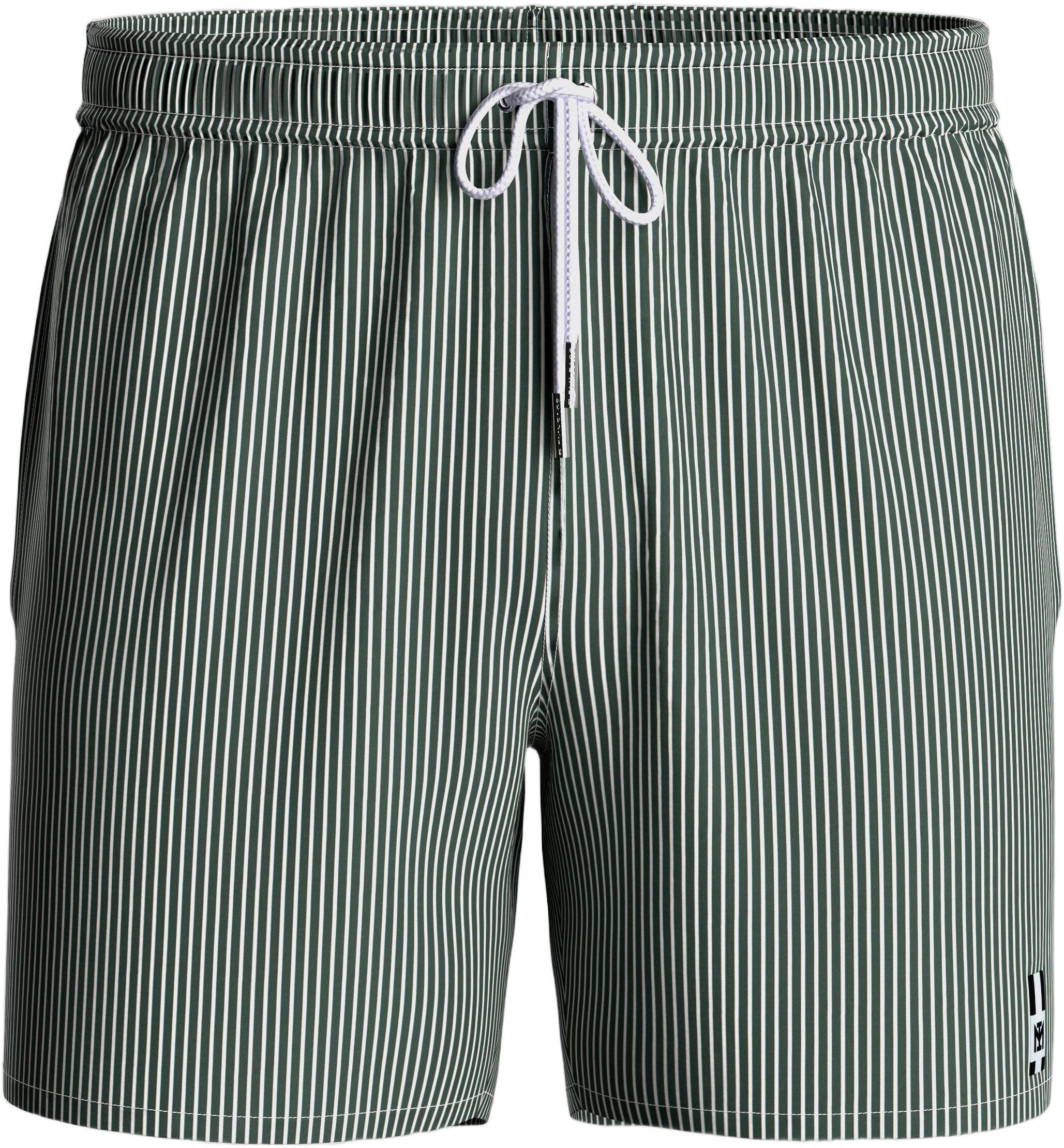 Striped Swim Shorts