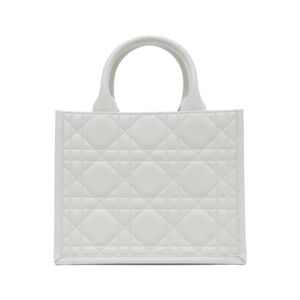 Dior Book Tote
