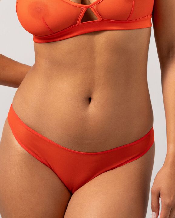Mesh Bikini Briefs