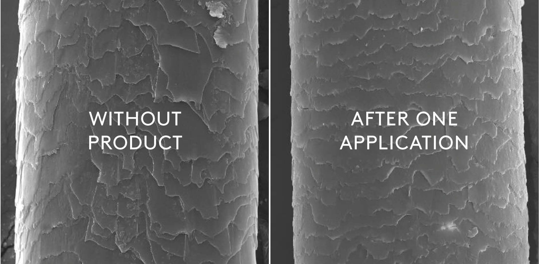 All In One - Repairing Cuticle Seal
