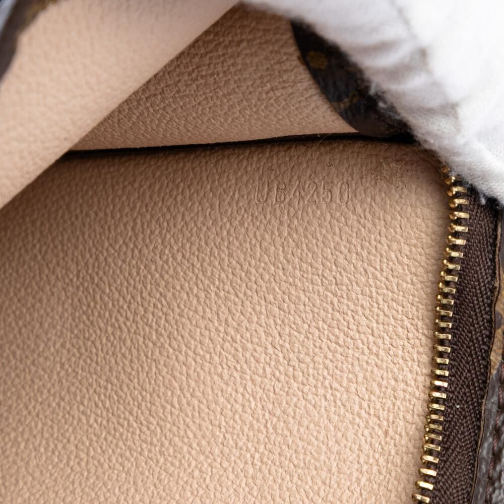 Louis Vuitton Pouch