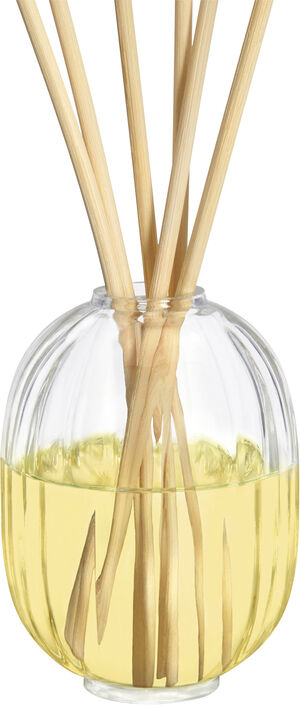 Reed Diffuser & 200ml Refill Sapin