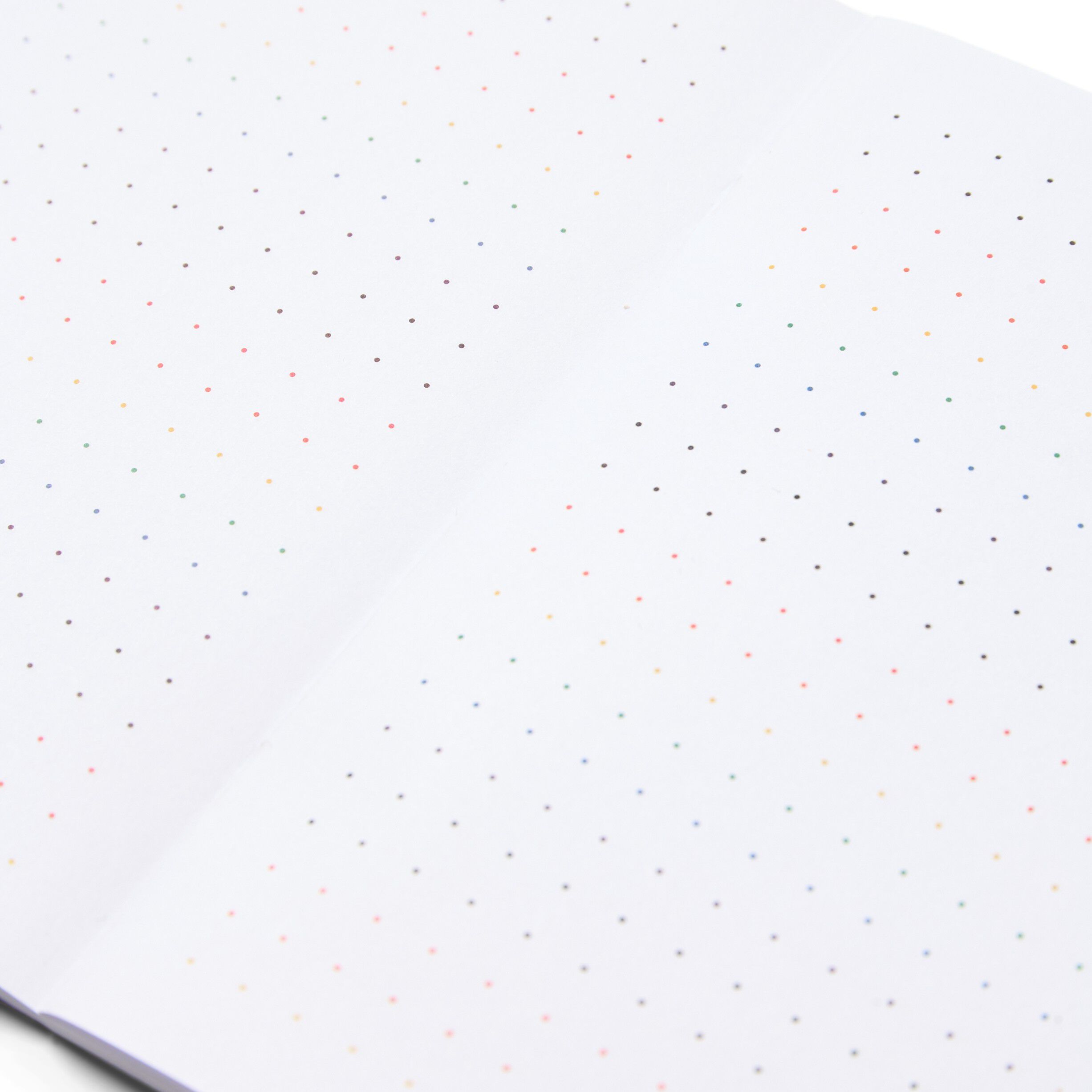 Pantone MA - BOOKLETS SET OF 2 DOTTED - PRIDE