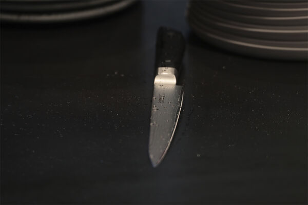 Meat - kniv 20 cm