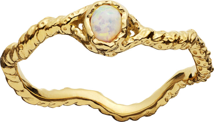 Lisa Ring