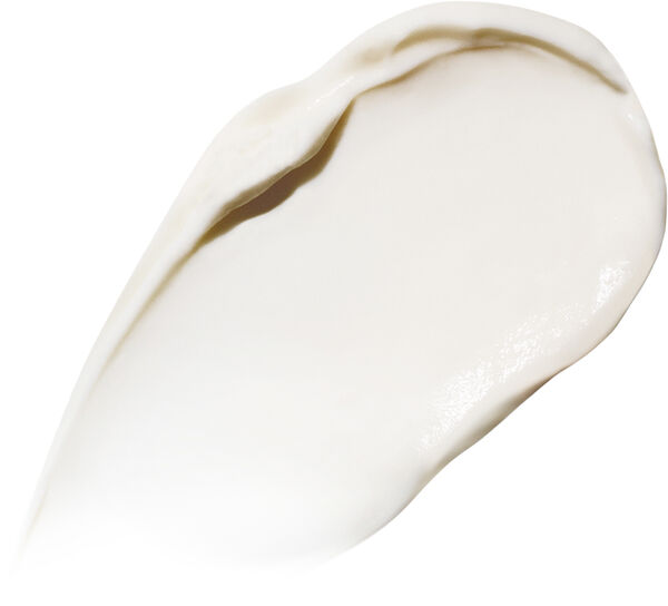 The Rejuvenating Night Face Cream