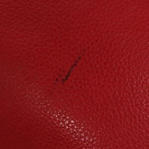 Celine Backpack