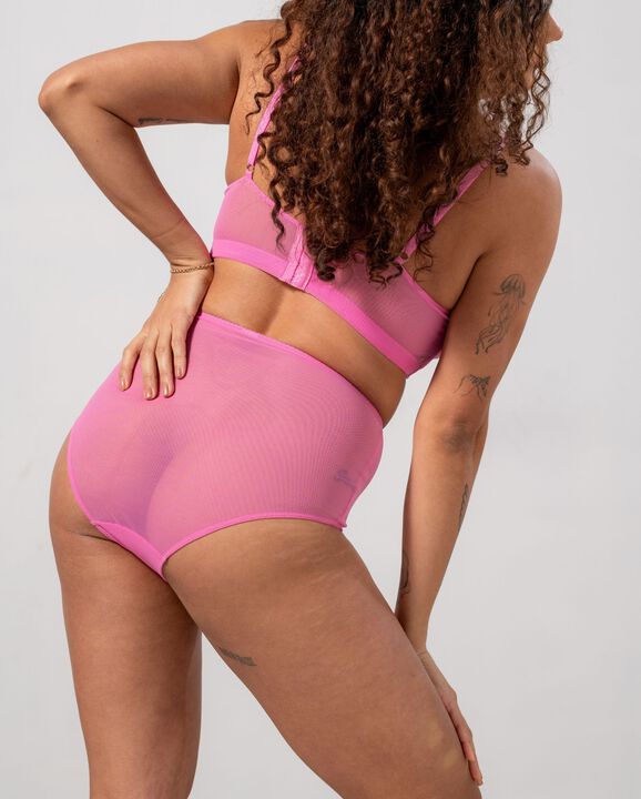 Mesh Highwaist Briefs