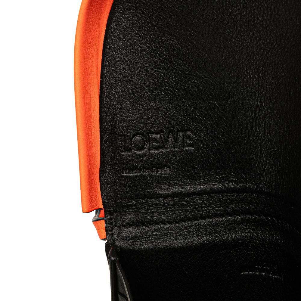 Loewe Crossbody Bag