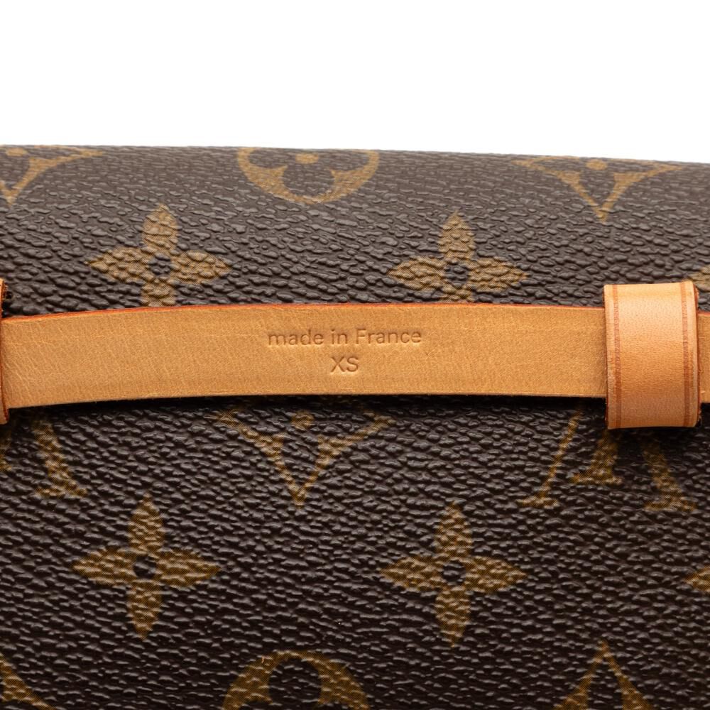 Louis Vuitton Florentine Pochette