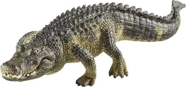 Sch Alligator *Grey