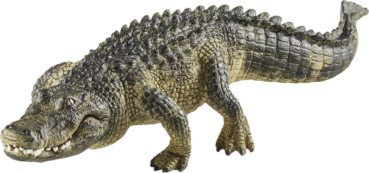 Sch Alligator *Grey