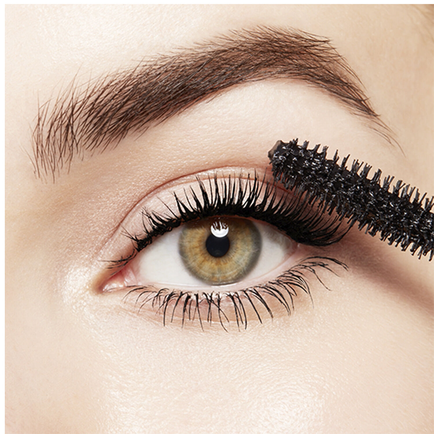 Monsieur Big Mascara