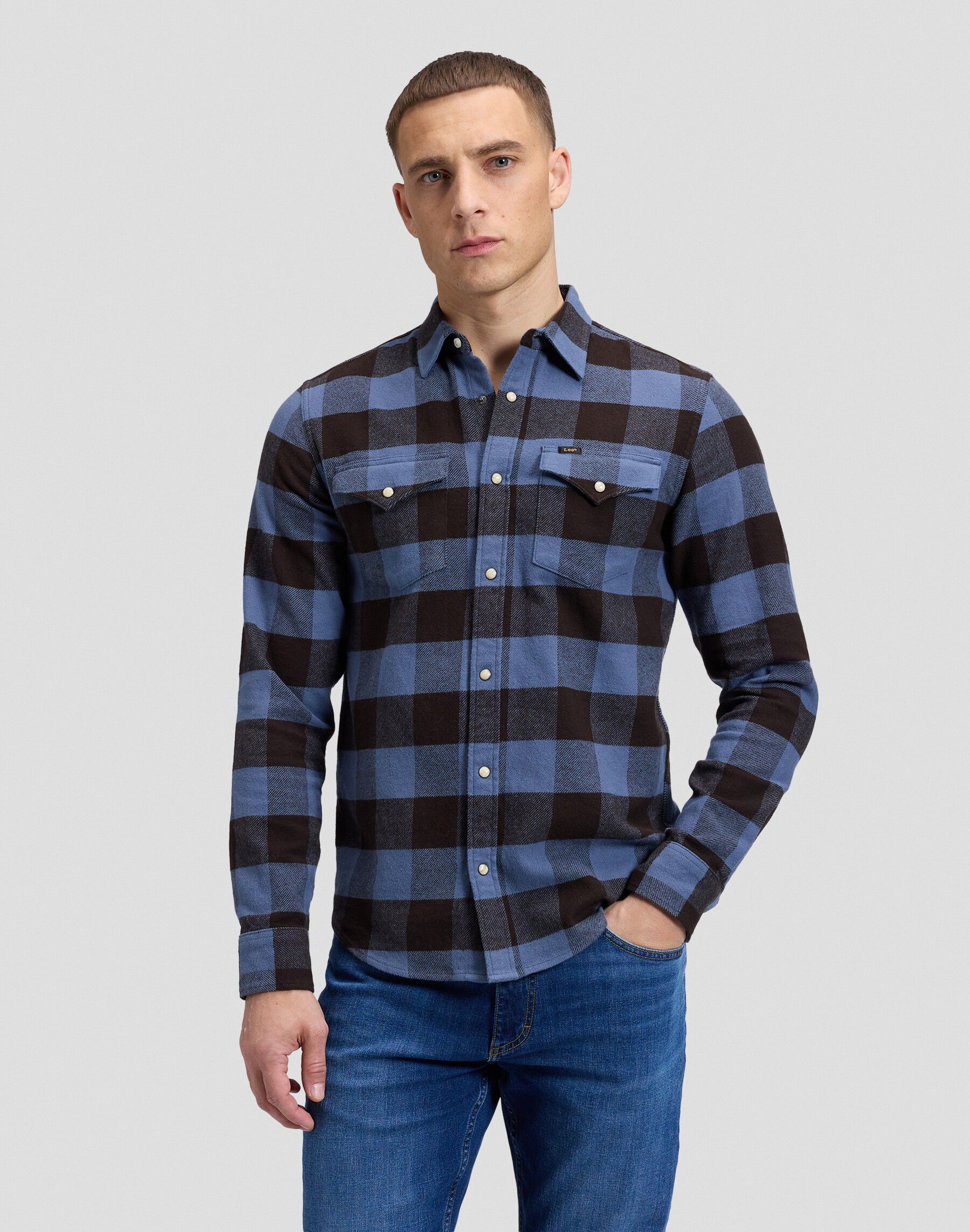 CLEAN_WESTERN_SHIRT CHOCOLATE_TORTE
