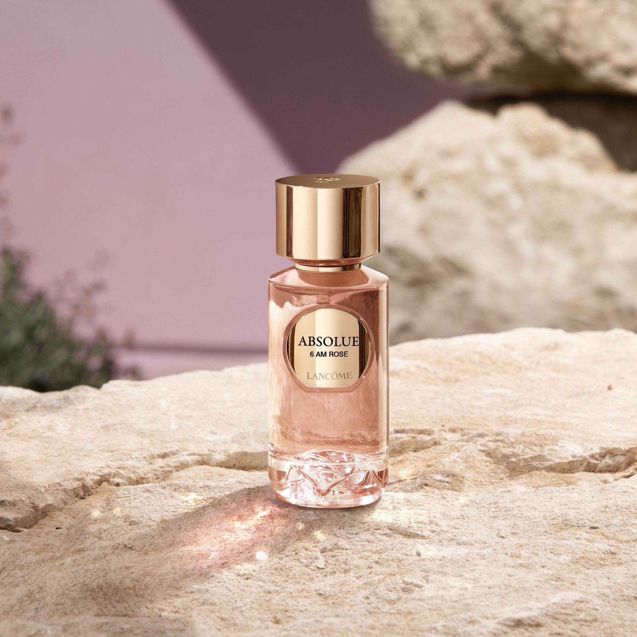 Absolue Les Parfums 6 AM ROSE Eau de Parfum