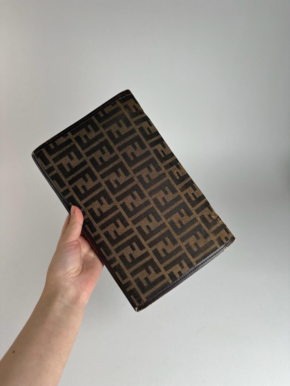 Fendi Pouch