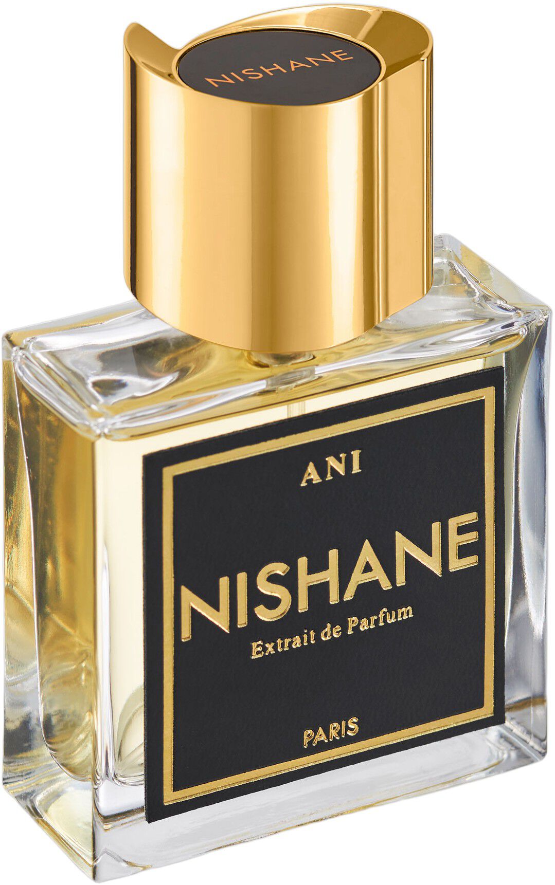 ANI EDP 100 ML