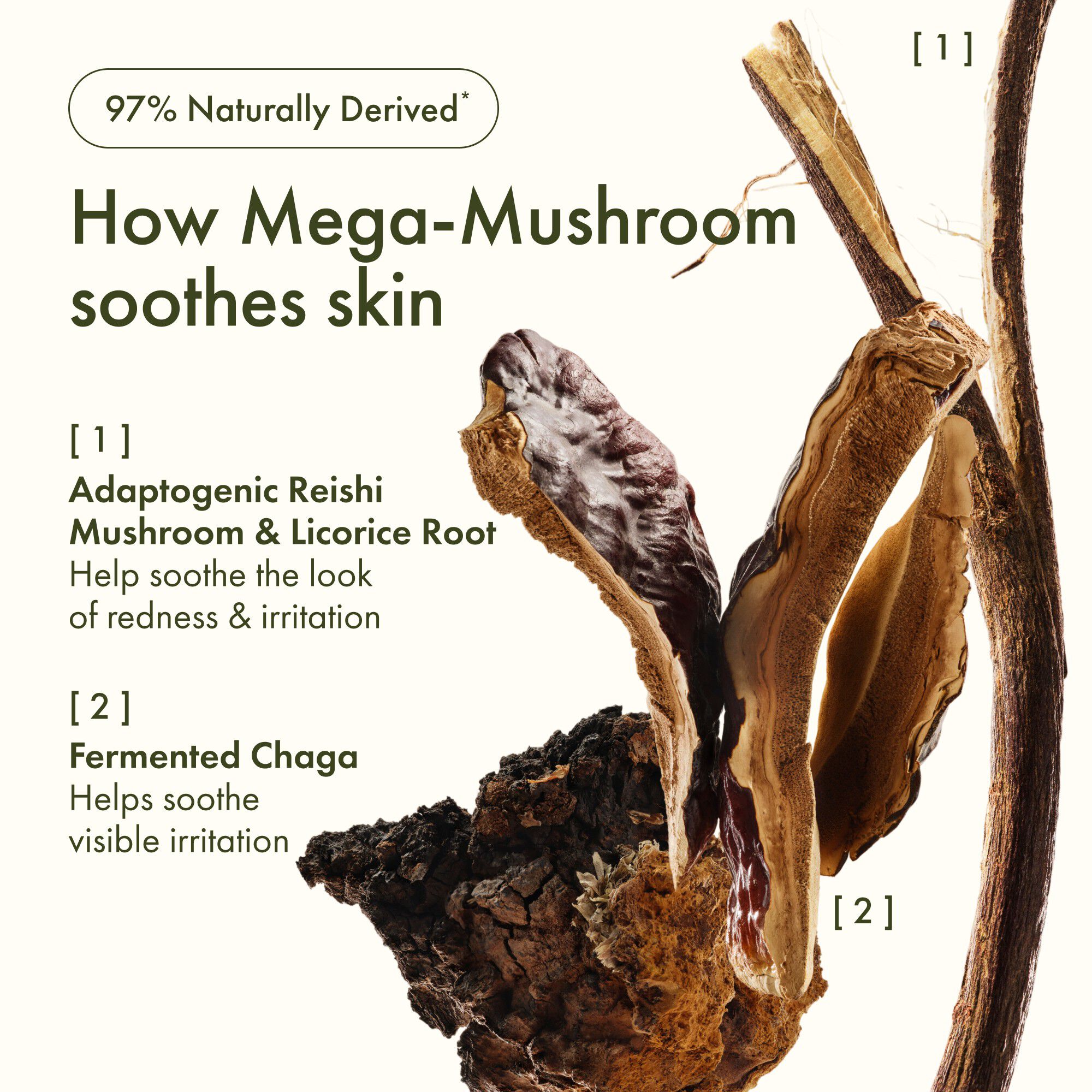 DR. WEIL MEGA-MUSHROOM SOOTHING & STRENGTHENING TREATMENT LOTION