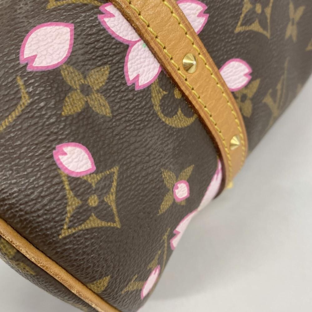 Louis Vuitton Papillon