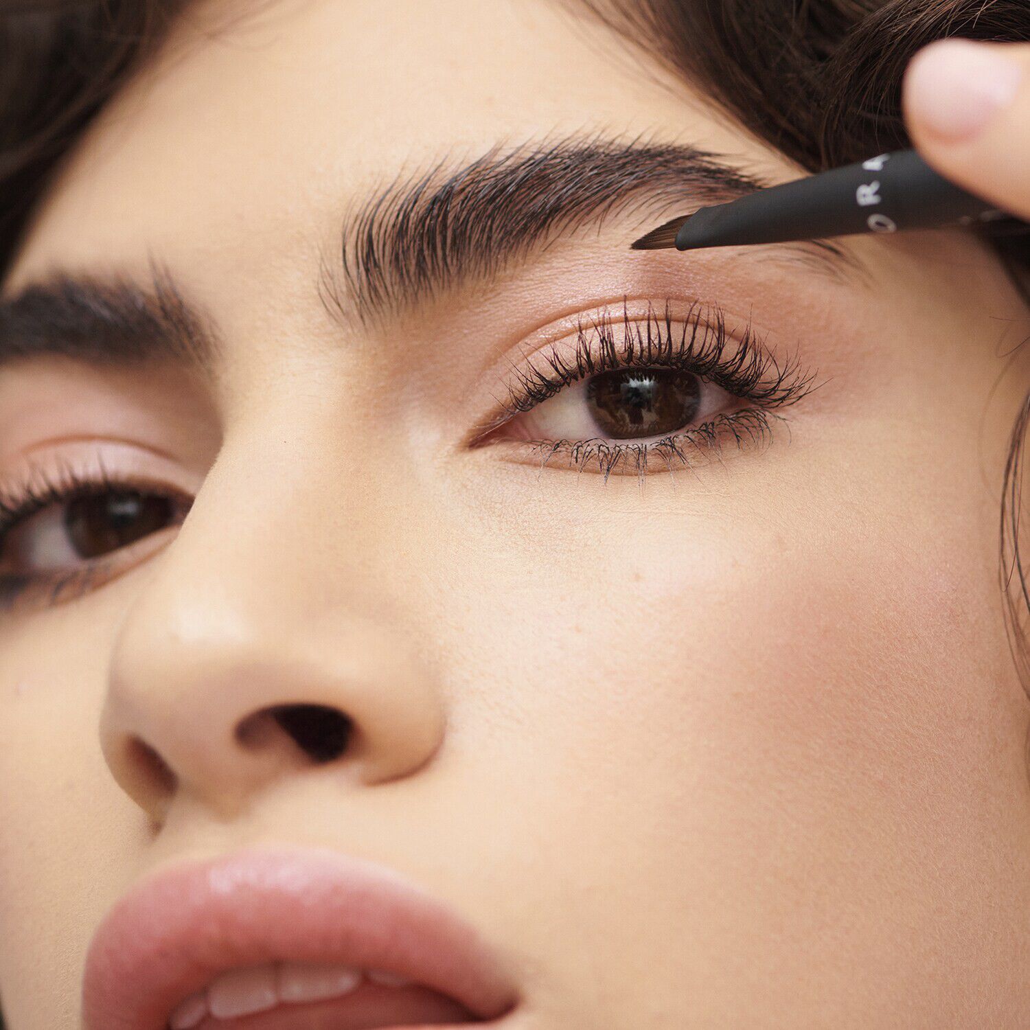 LE PINCEAU SOURCILS-24 12