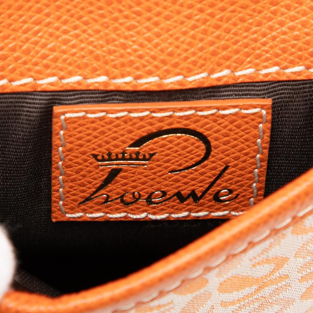 Loewe Crossbody Bag