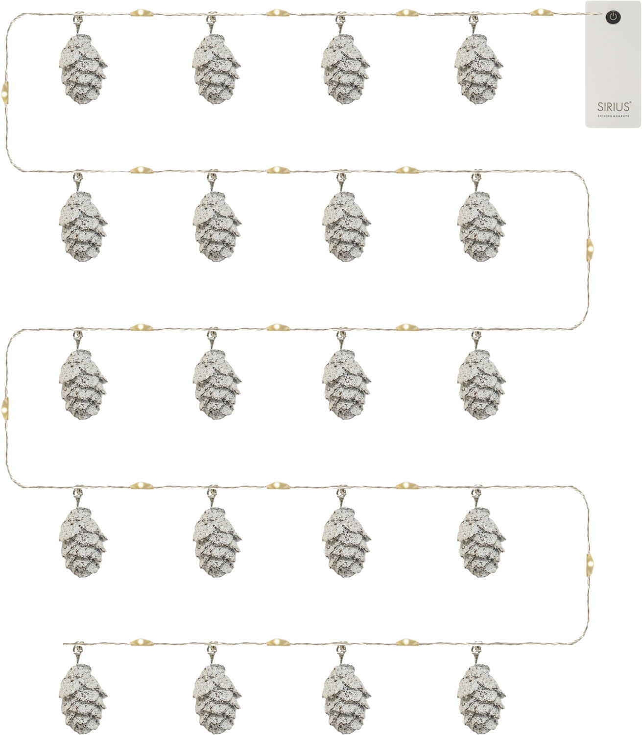 Molly kogler sne 20L