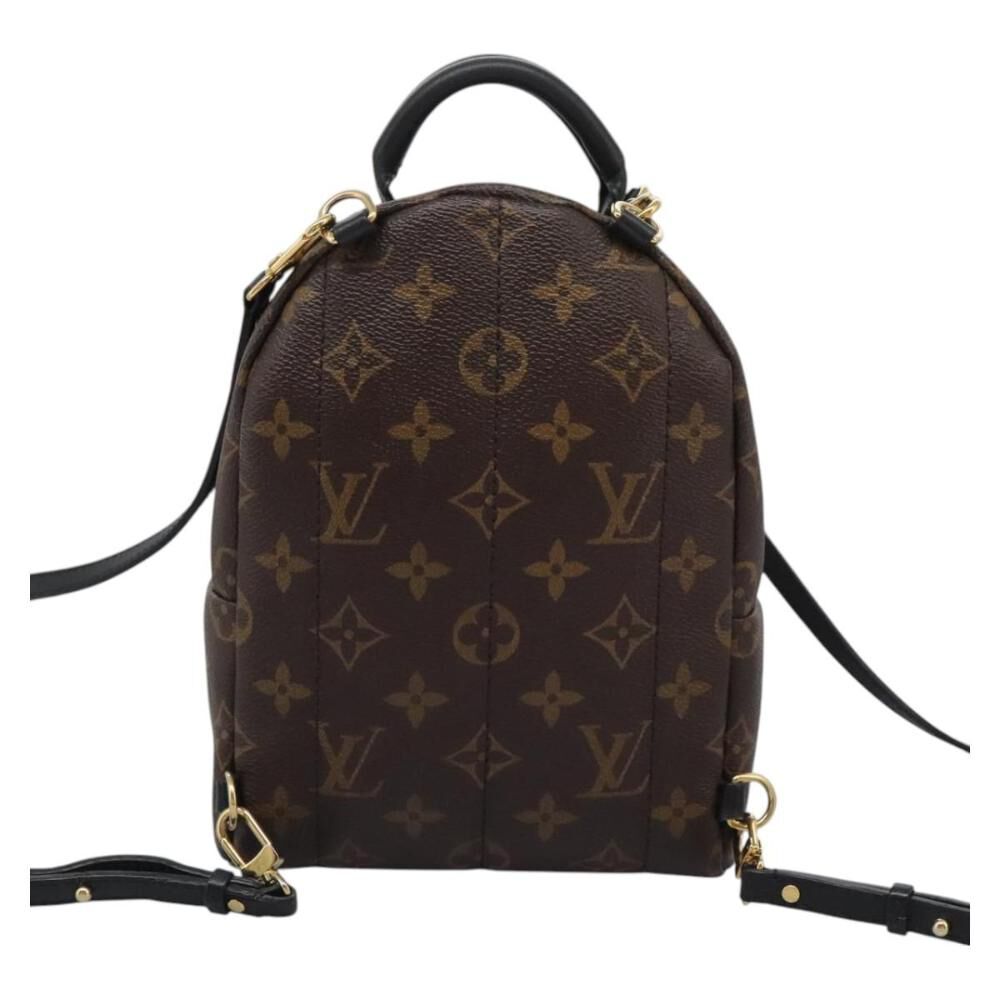 Louis Vuitton Palm Springs