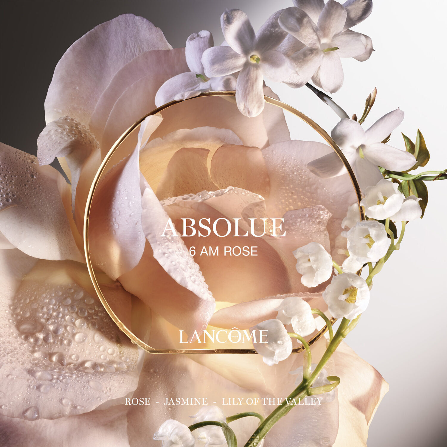 Absolue Les Parfums 6 AM ROSE Eau de Parfum