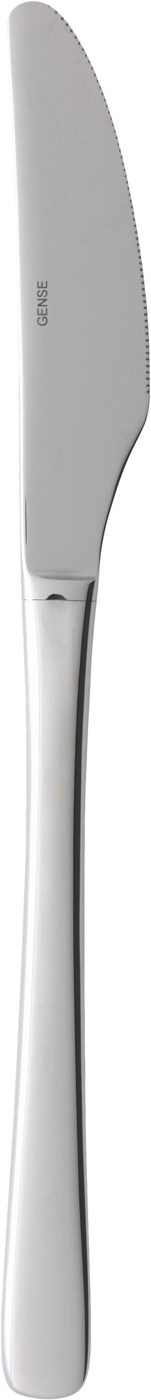 Bordkniv Steel Line 21,5 cm Blank stål