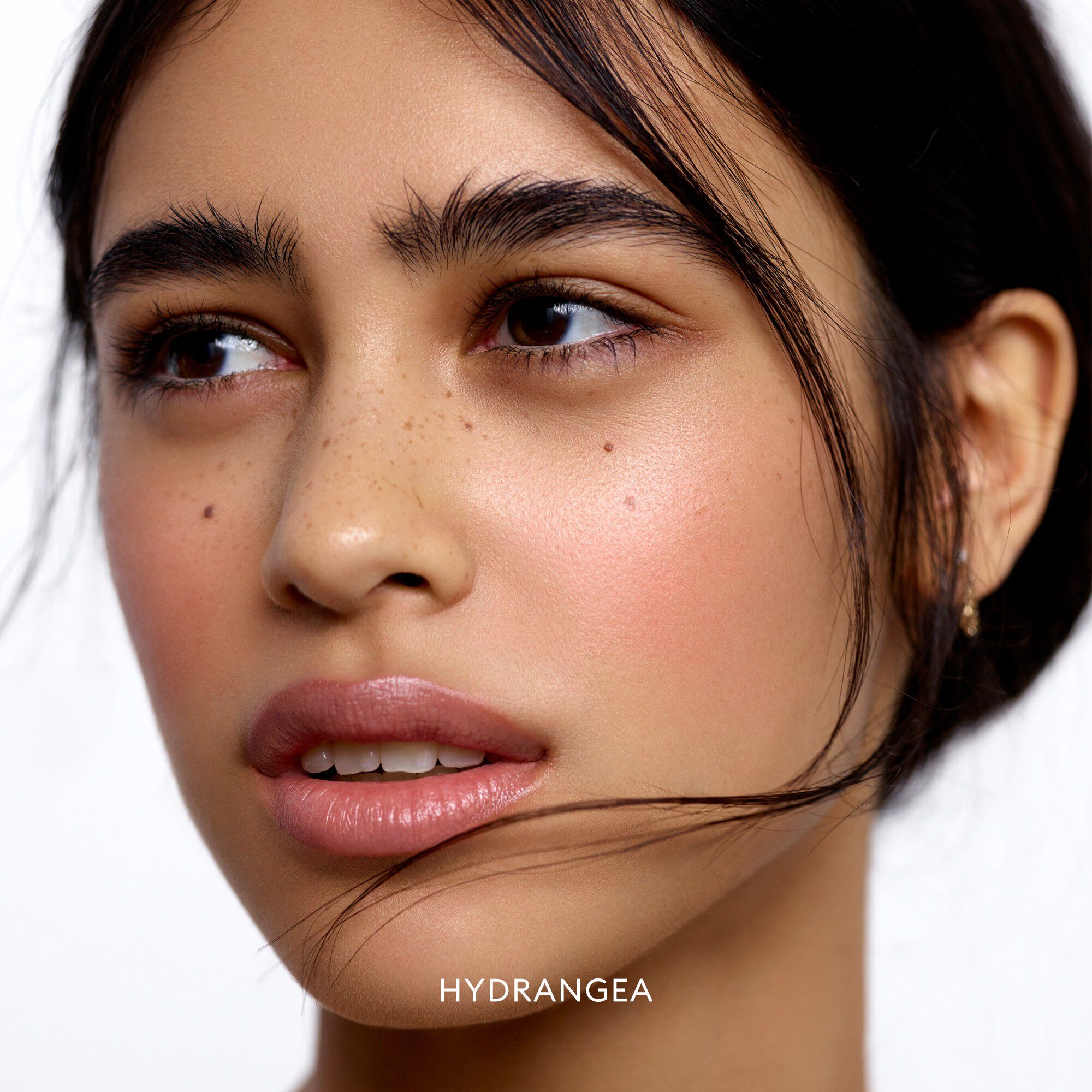 Blush Divine Radiant Lip & Cheek Color - Refill