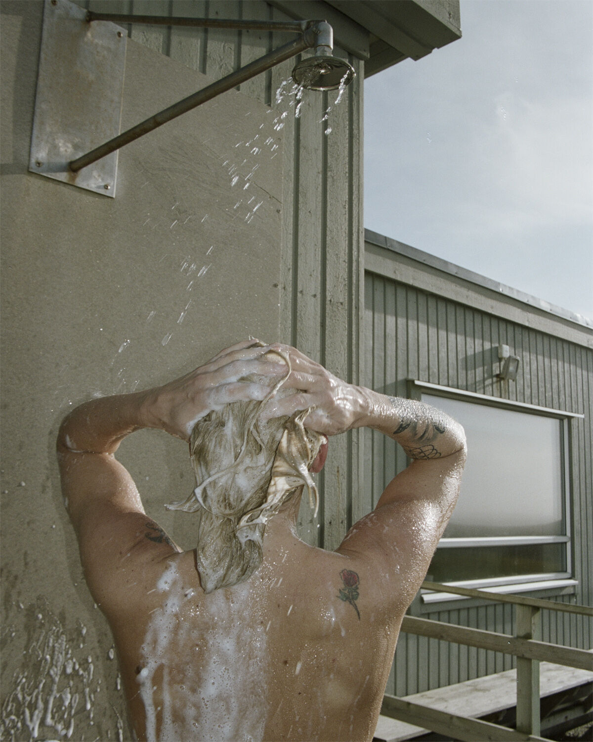 Shampoo Lemongrass 450 ml.