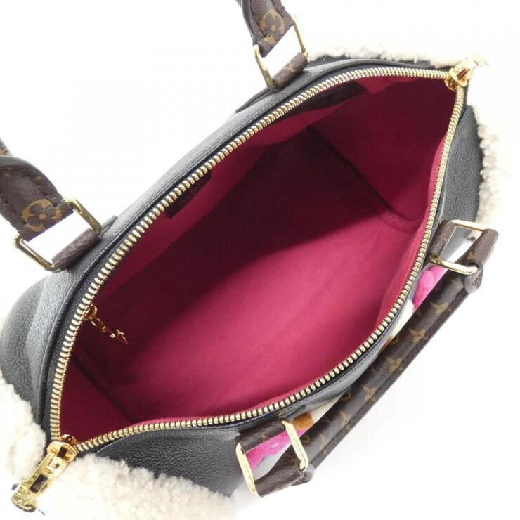 Louis Vuitton Speedy