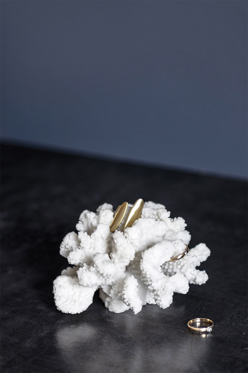 Coral, branches - small