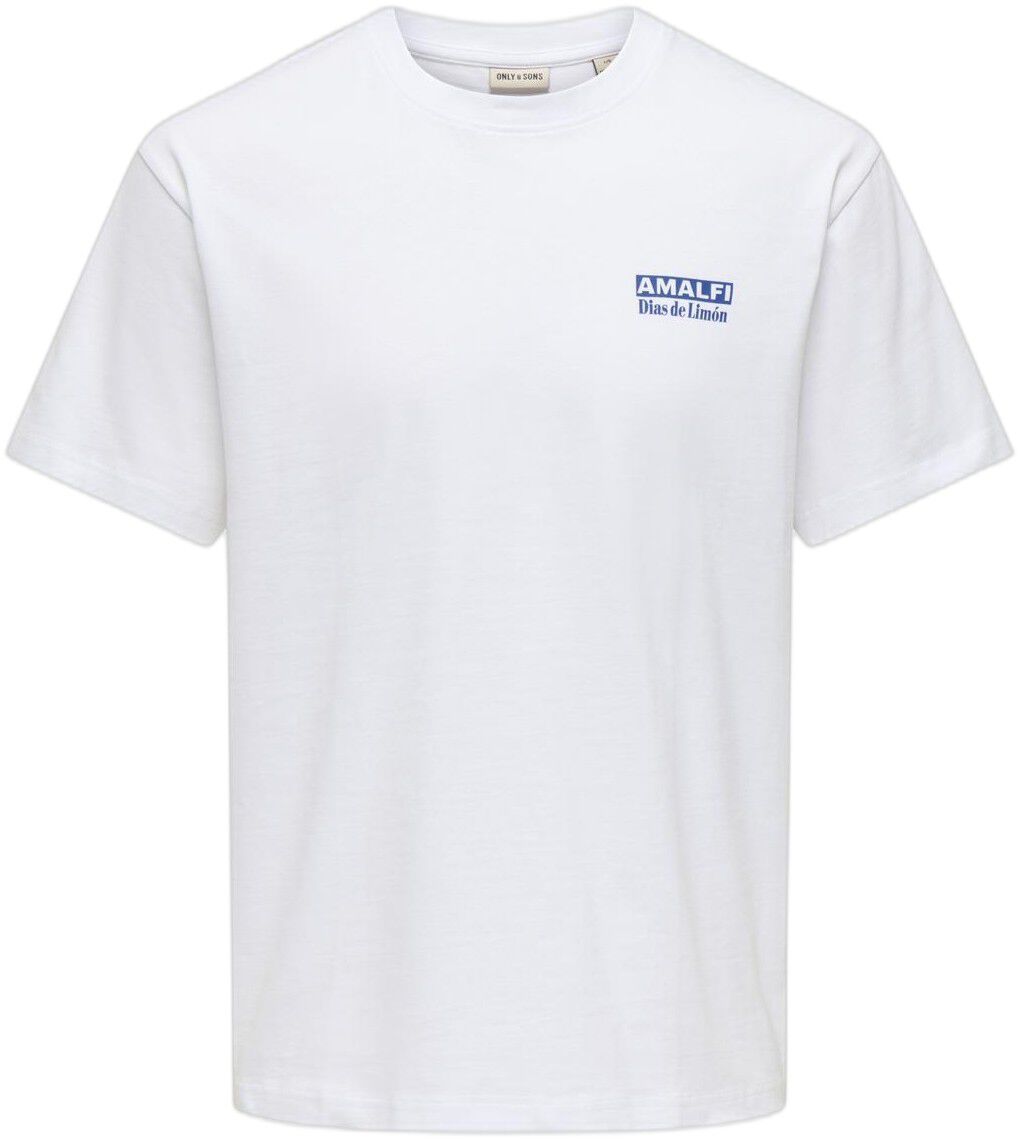 ONSFRED LIFE RLX SS PRINT TEE NOOS