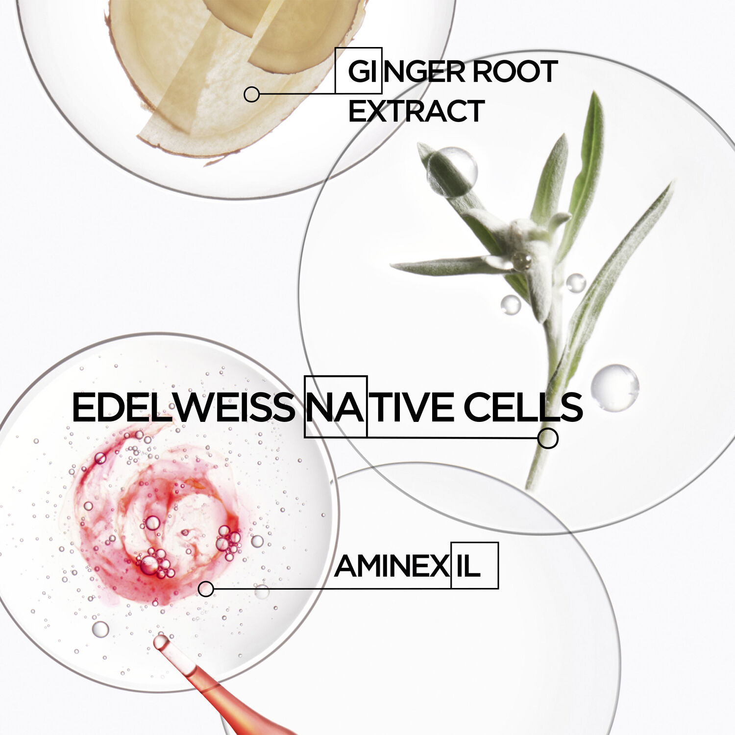 Genesis Homme Cire D'&eacute;paisseur Texturisante