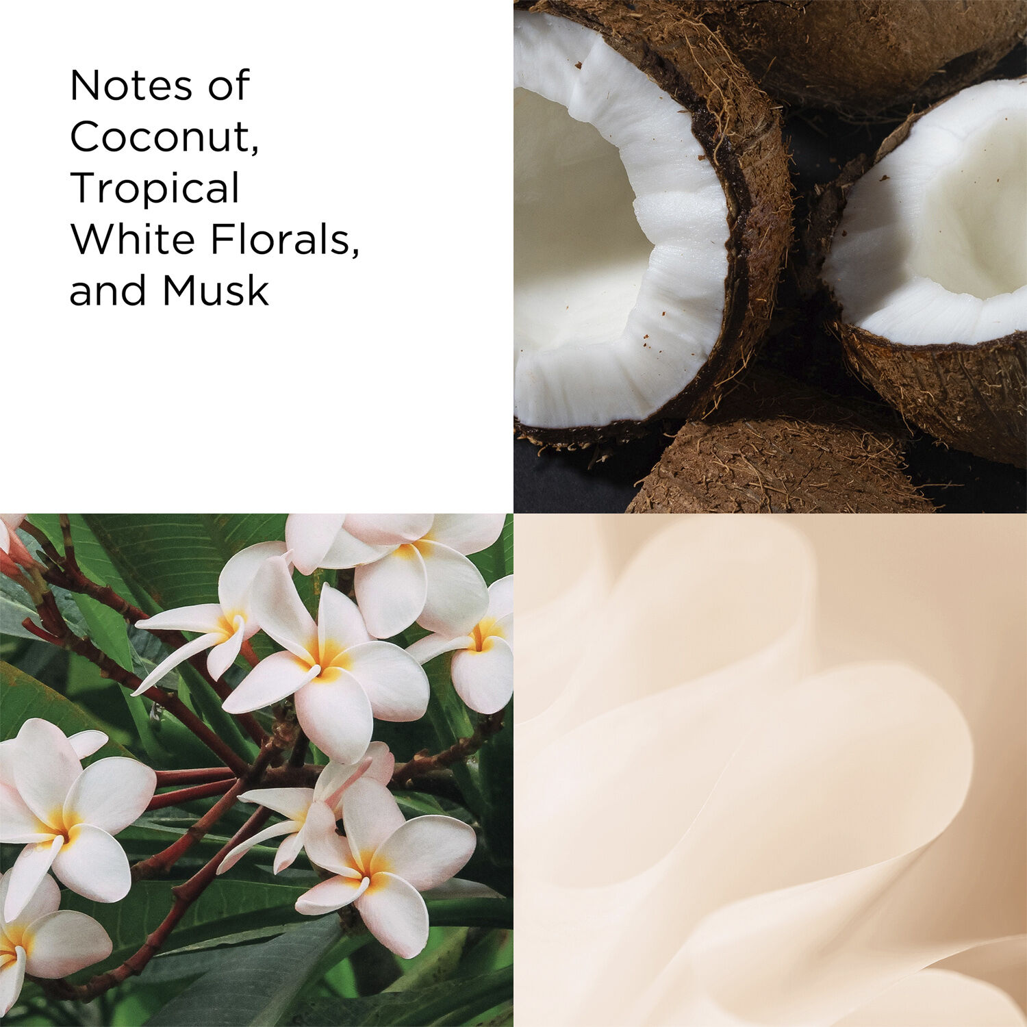 Green Tea Coconut Breeze Eau de Toilette