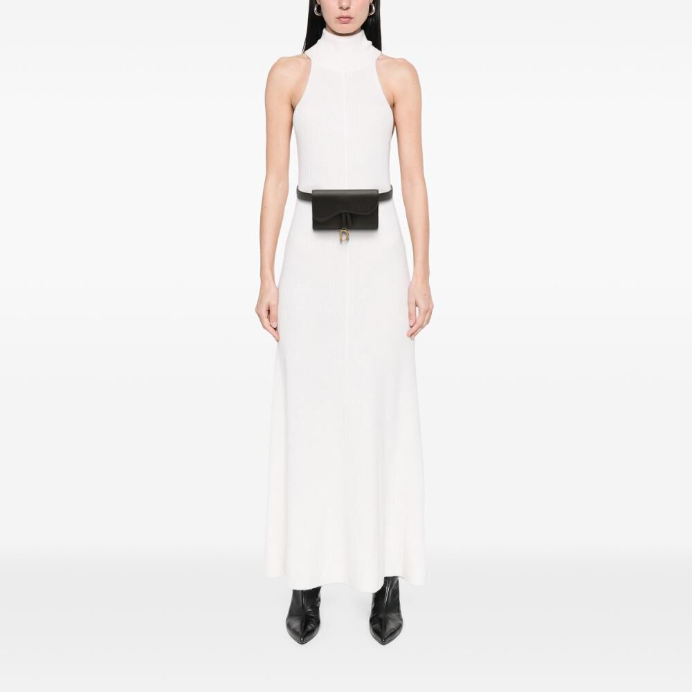 Dior Belt Bag