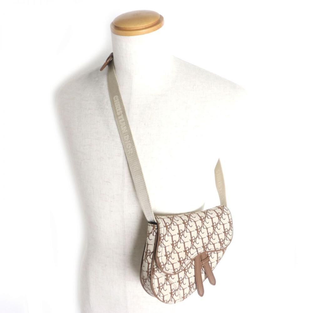 Dior Saddle Bag