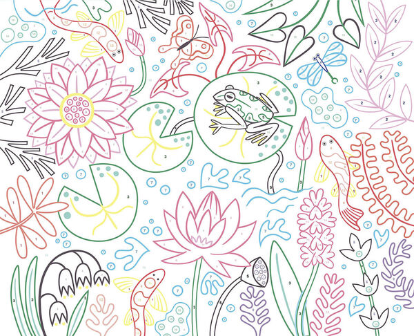 Auzou - Mal efter nummer - Den vilde natur