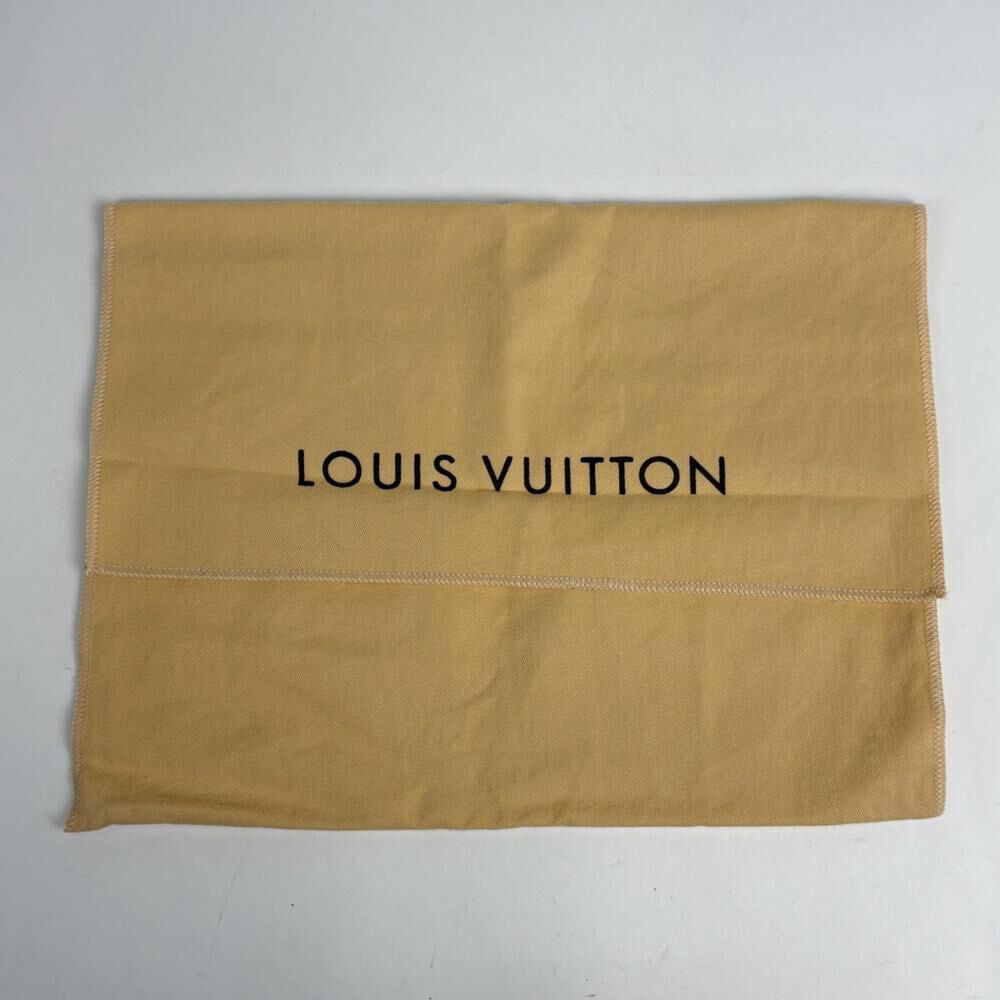 Louis Vuitton Pochette Accessoires
