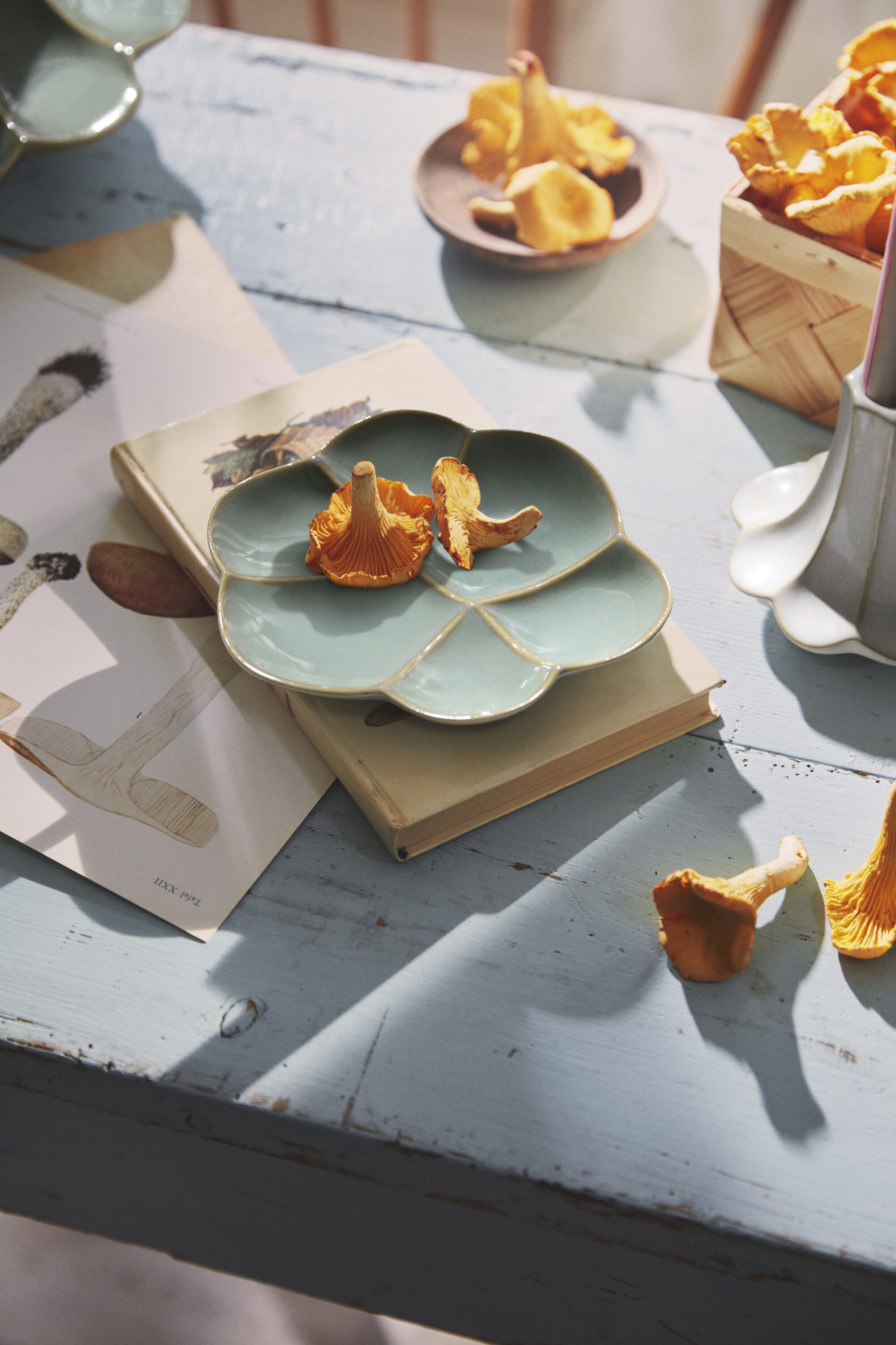 Kantarel Bordfad lille gr&oslash;n