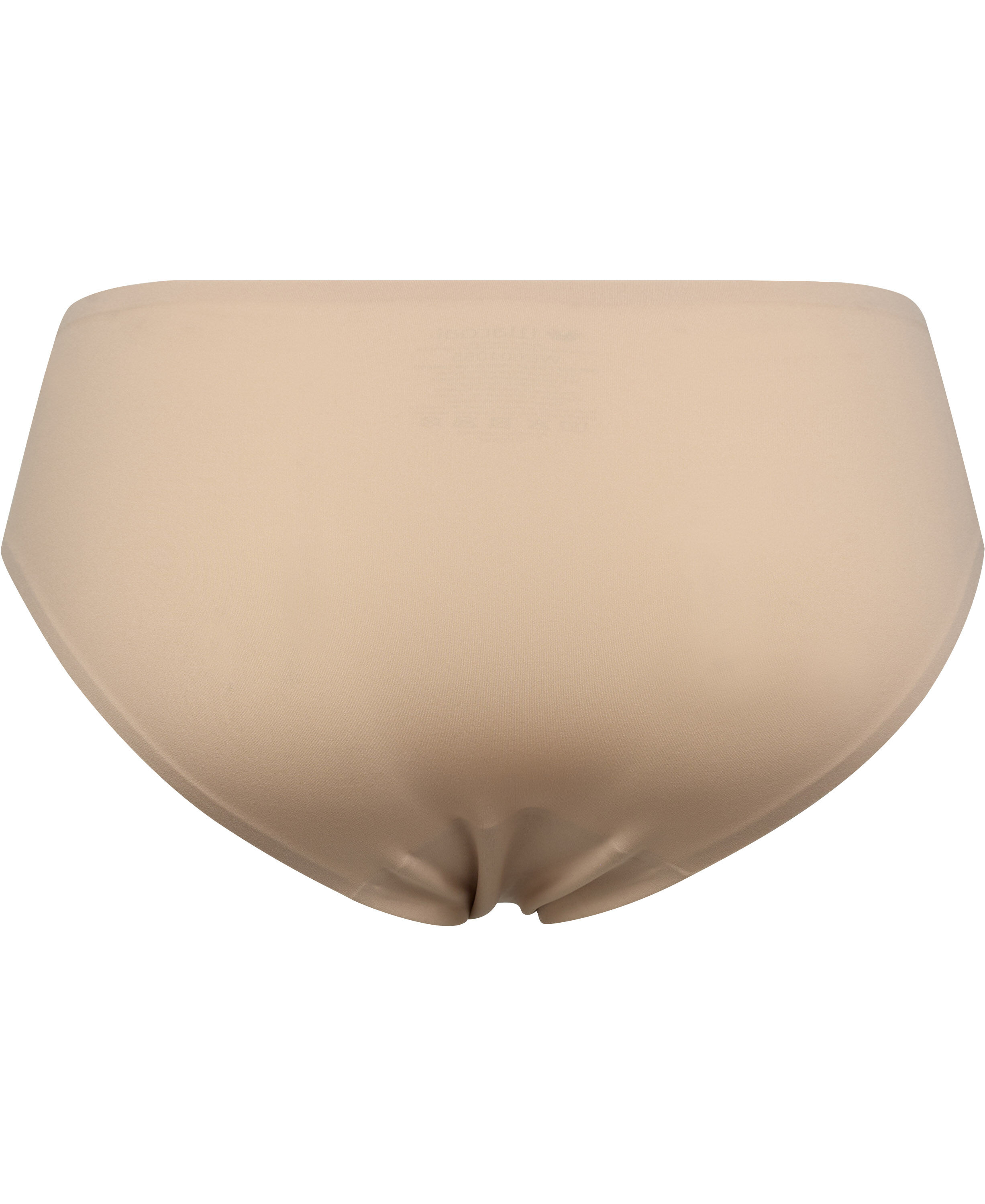 INES SECRET BRIEF