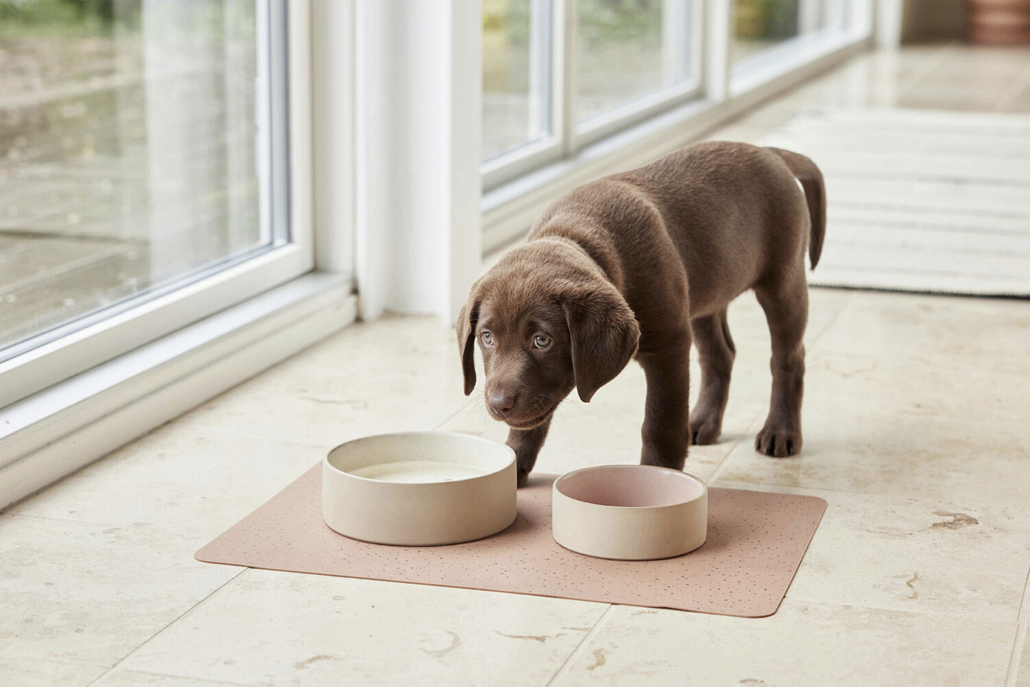 Koko Hundesk&aring;l M&aring;tte