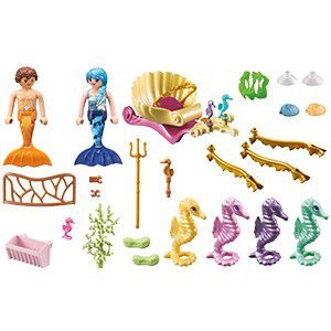 Mermaid Seahorse Carriage