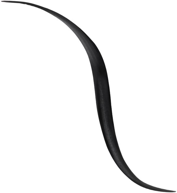 Noir G 24 Graphic Liner Black